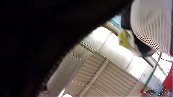 سامانثا قضبان اصطناعية على بلدها أفلام جنس ضيق كس