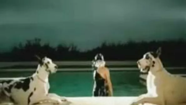 سارة جيسي يمكن أن تمتص و اللعنة افلام سكس تركي عربي