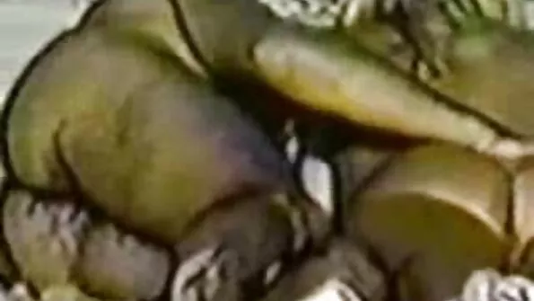 مص و افلام سكس مترجم طويل نرى